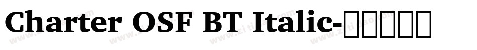 Charter OSF BT Italic字体转换